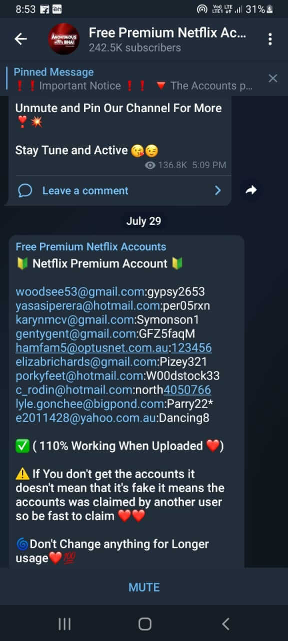 Free Netflix Accounts Telegram